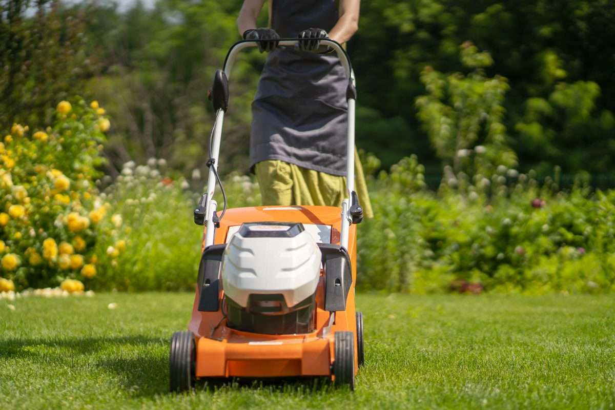 How Often To Mow Lawn In Spring: Dallas One-Third Rule