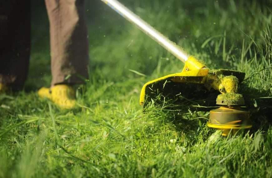 electric lawn service company near me