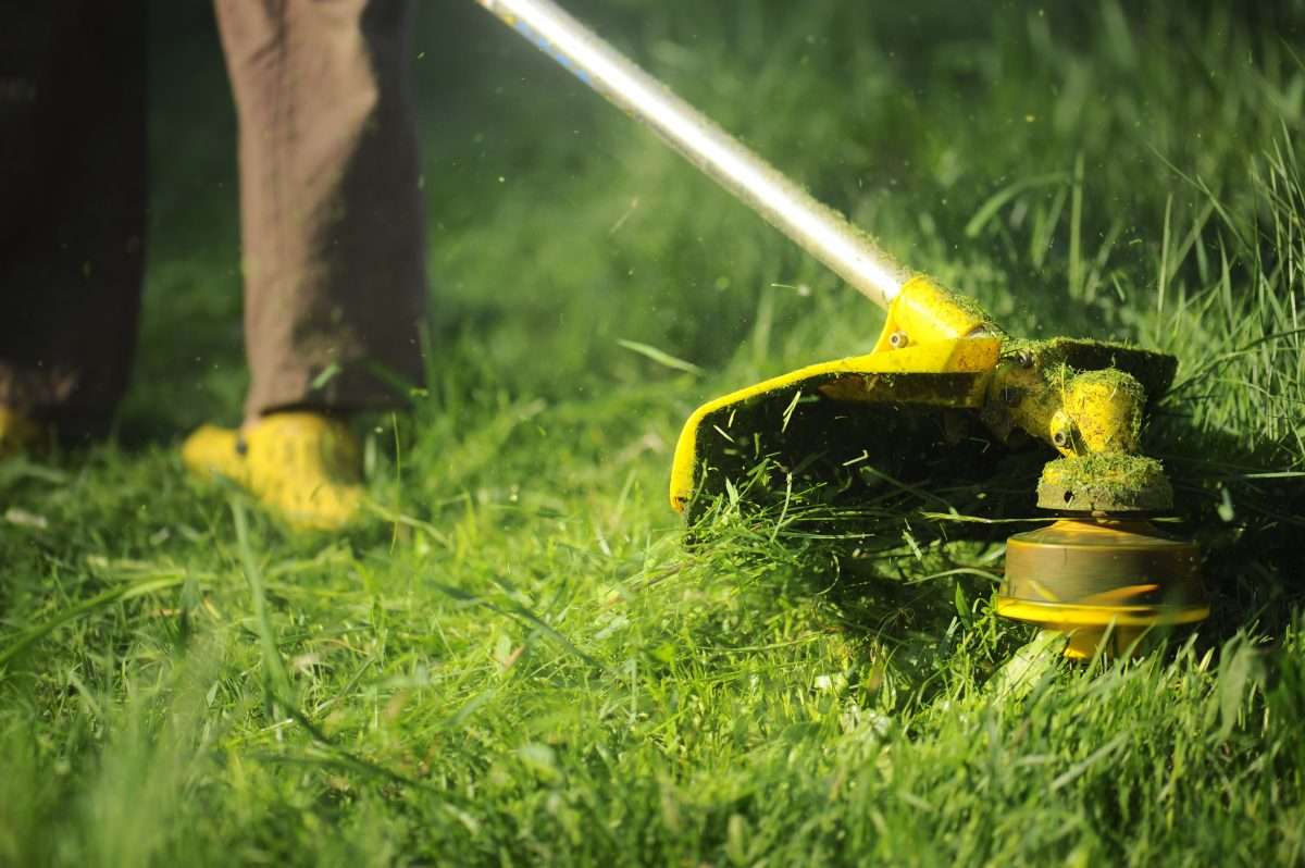 electric lawn service company near me