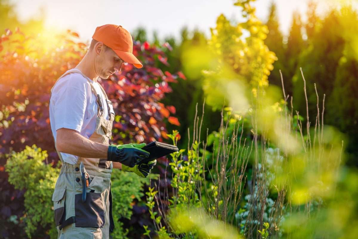 garden,design,with,tablet,device.,professional,gardener,with,his,tablet