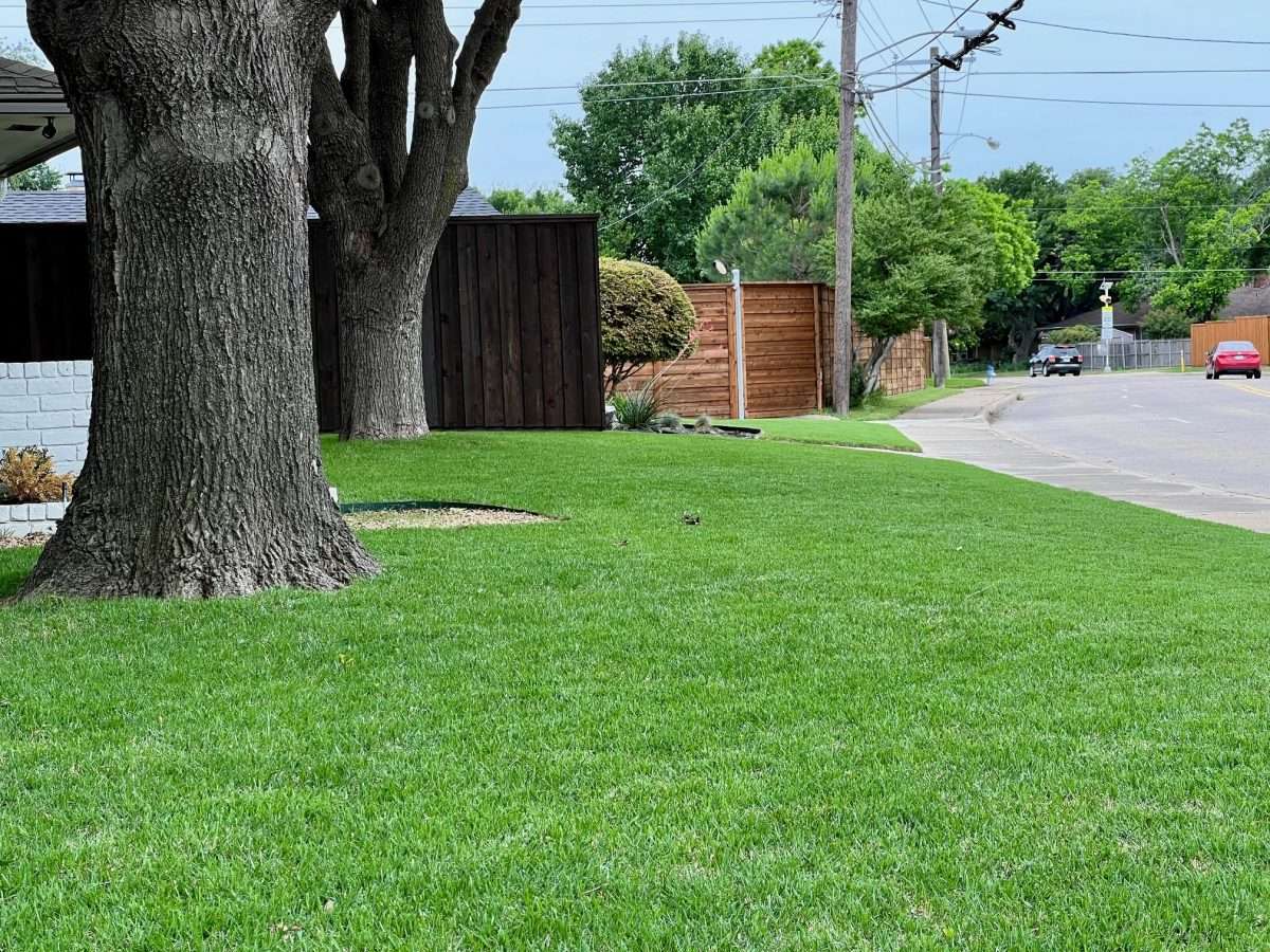 sod install company dallas