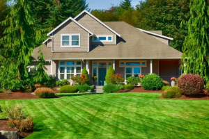 Dallas Lawn & Landscape Blog from Greenform Landscapes