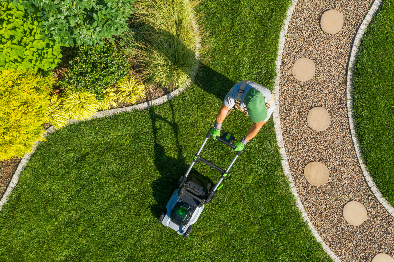 eco-friendly lawn mowing service in Dallas residential yard