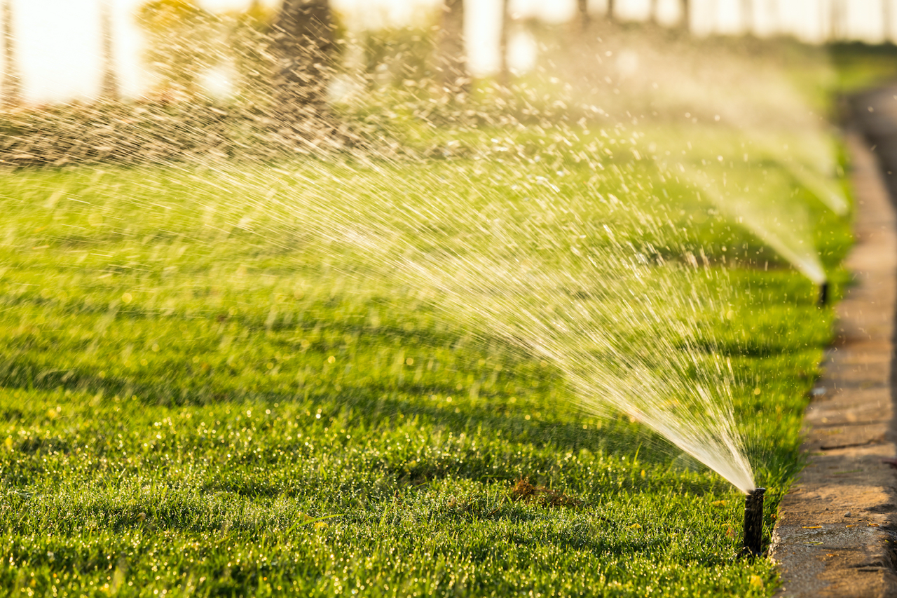 lawn irrigation in winter months dallas