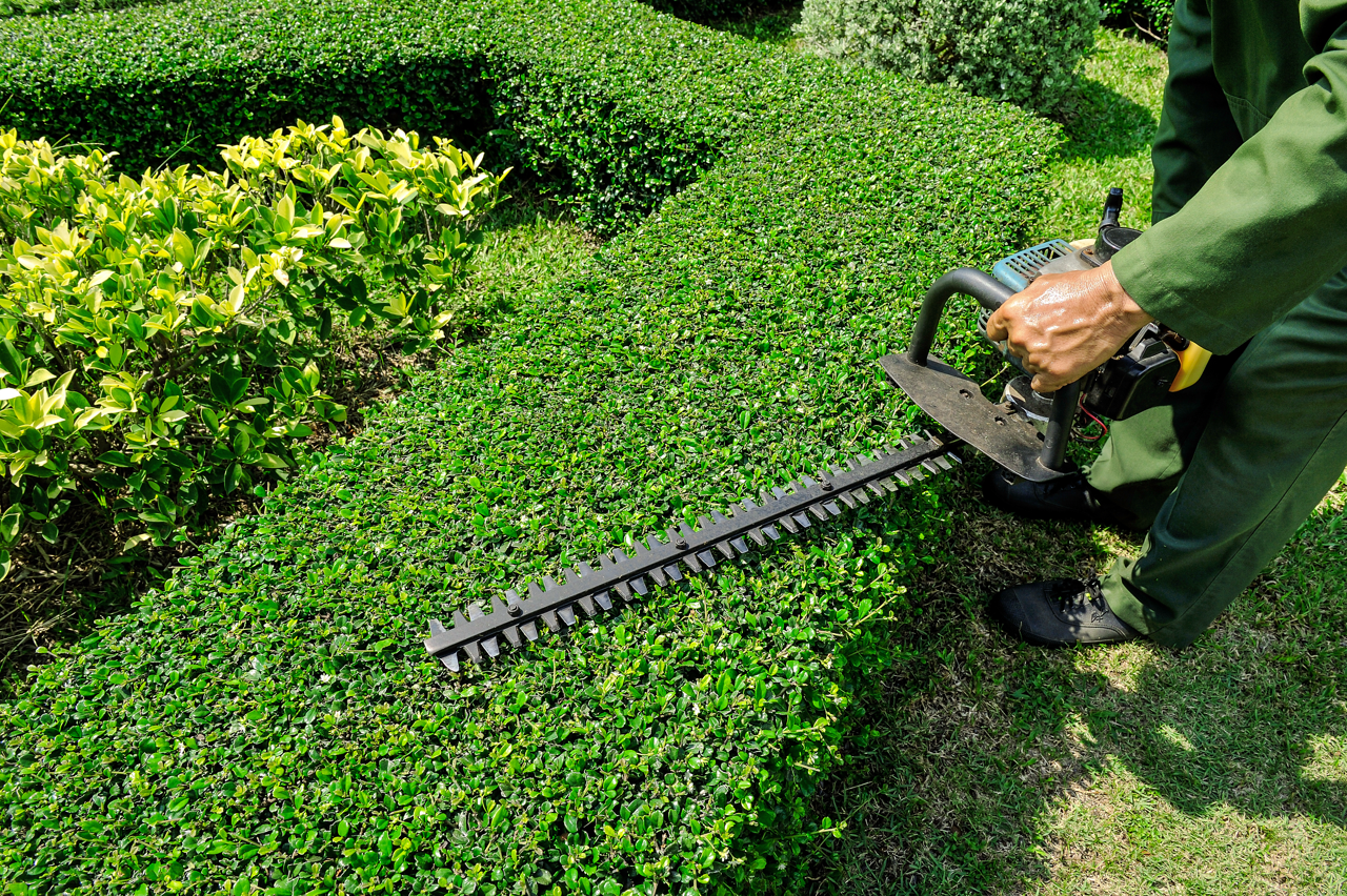 Dallas lawn care mowing service with eco-friendly equipment