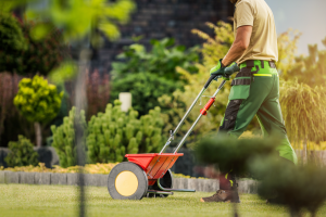 When To Fertilize Lawn: Month-by-Month Timing Guide