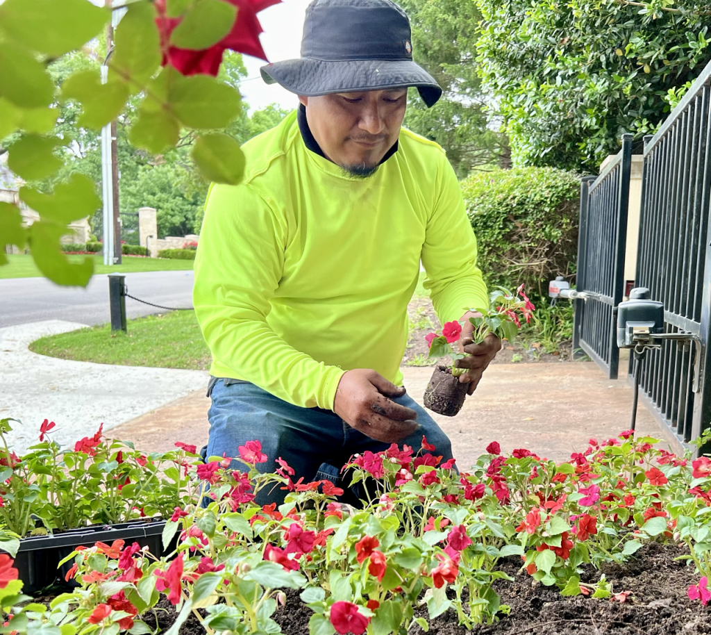 seasonal landscape maintenance services in Dallas Texas