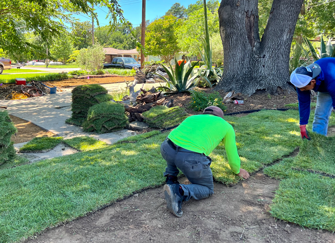 Precision sod installation with clean seams and smooth lawn edges near hardscape