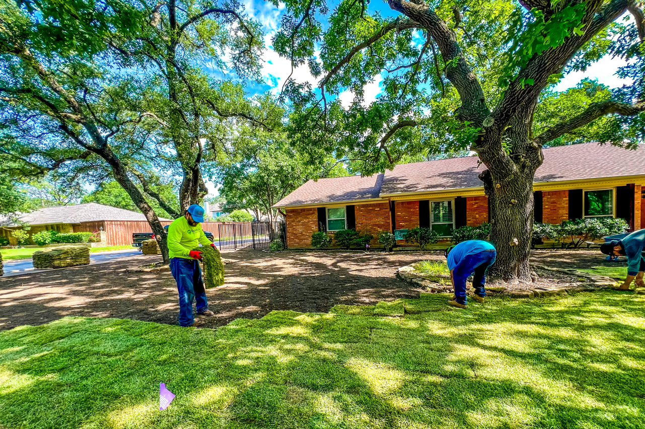 sod install company dallas texas