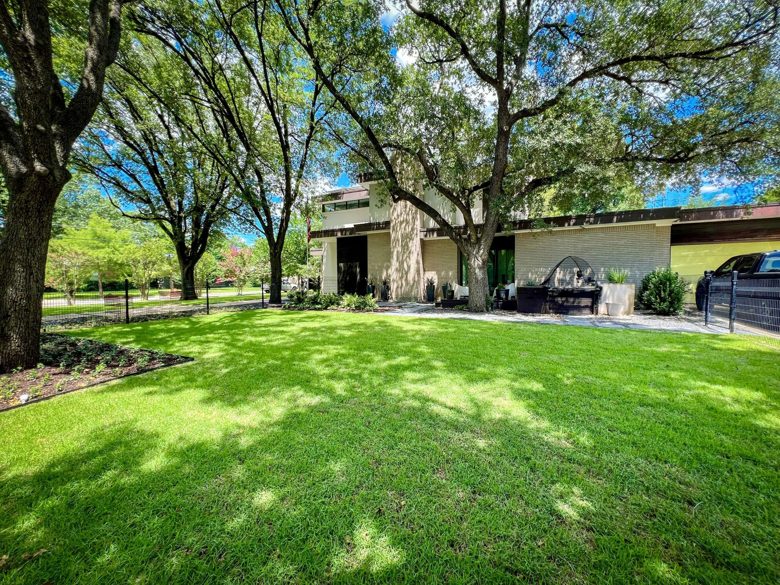 palisades zoysia install dallas