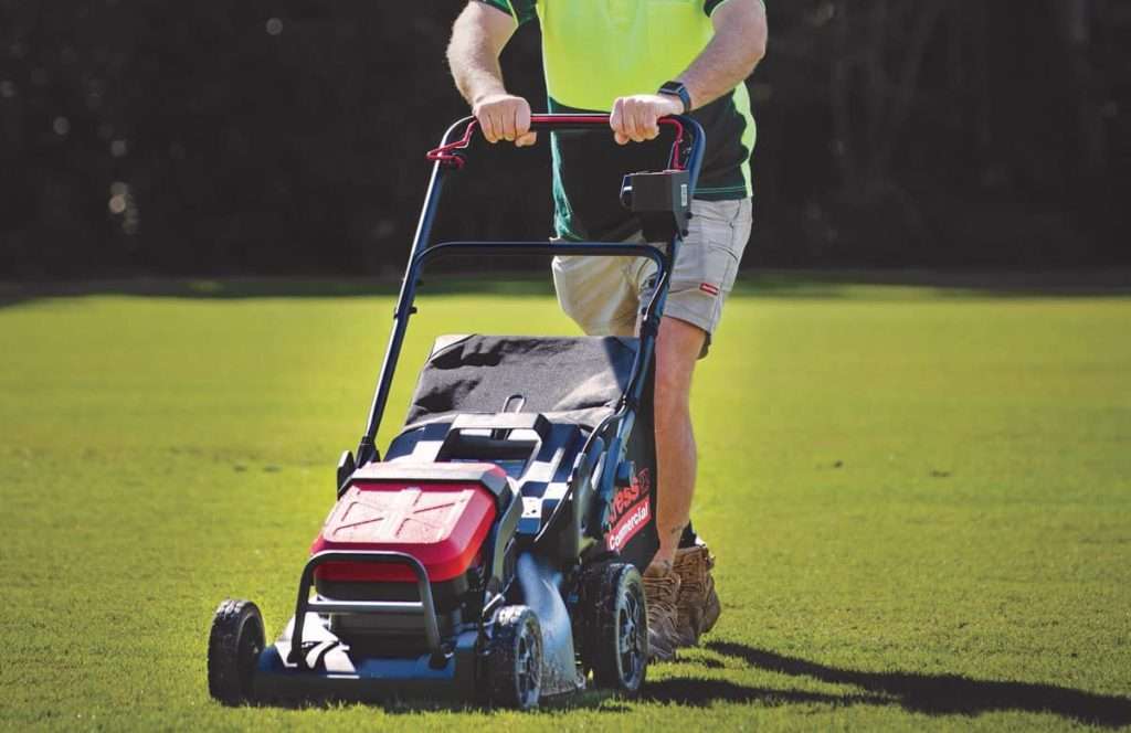 eco-friendly lawn mowing Dallas residential yard