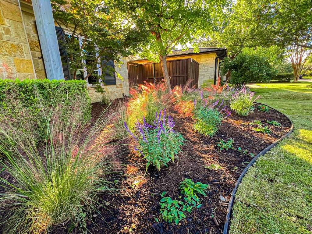 Flowering perennial planting bed with curved edging and fresh mulch