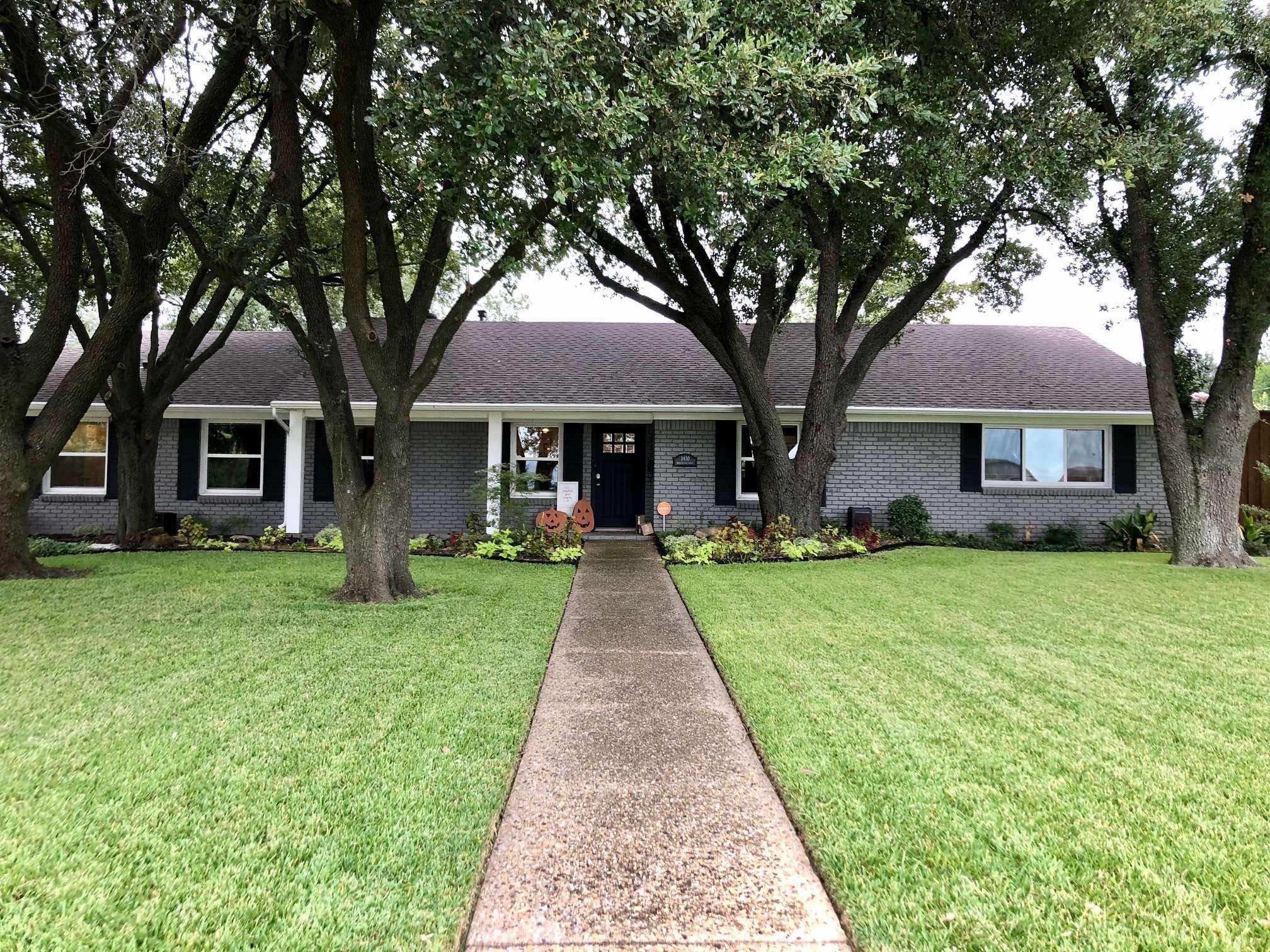 Healthy green lawn after professional fertilization service in Dallas