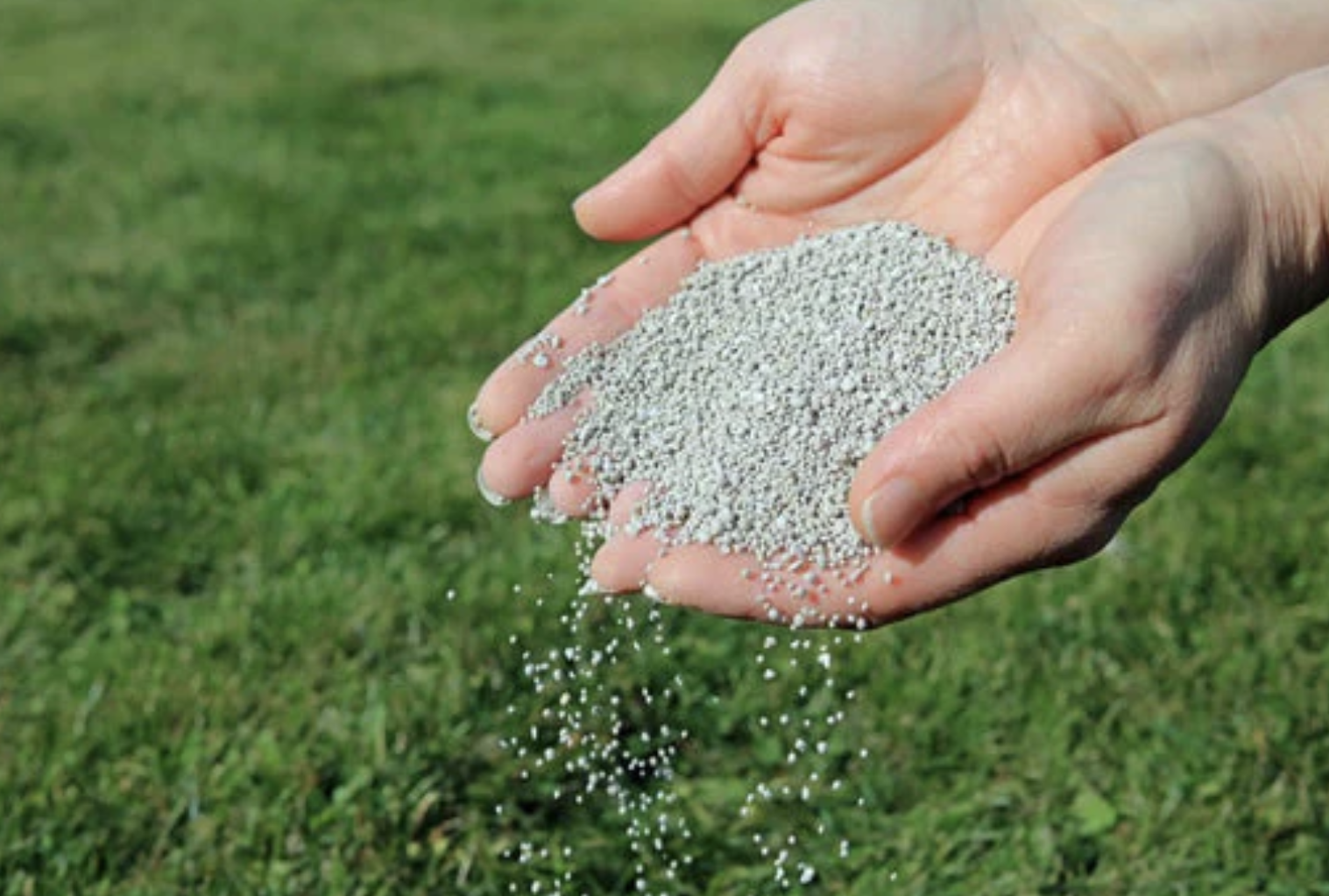 Natural compost-based fertilizer supporting healthy lawn soil