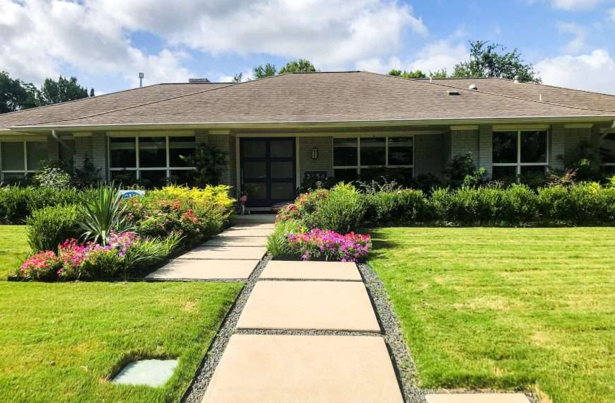 6 spring lawn care dallas tips for a quiet, healthy lawn now