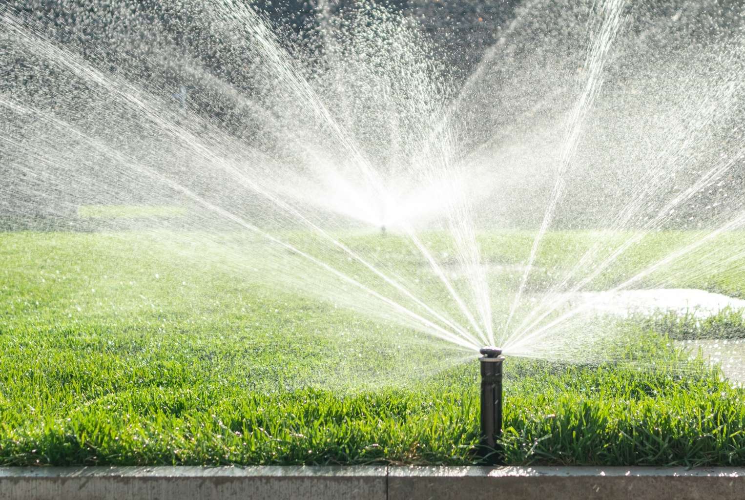 Lawn Watering Schedule Dallas: Ordinance Days & Hours Guide