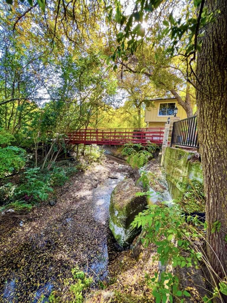 natural creek running through wooded Dallas backyard landscape