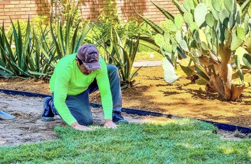 Cost of sod installation in Dallas shown by worker laying new sod on prepared lawn