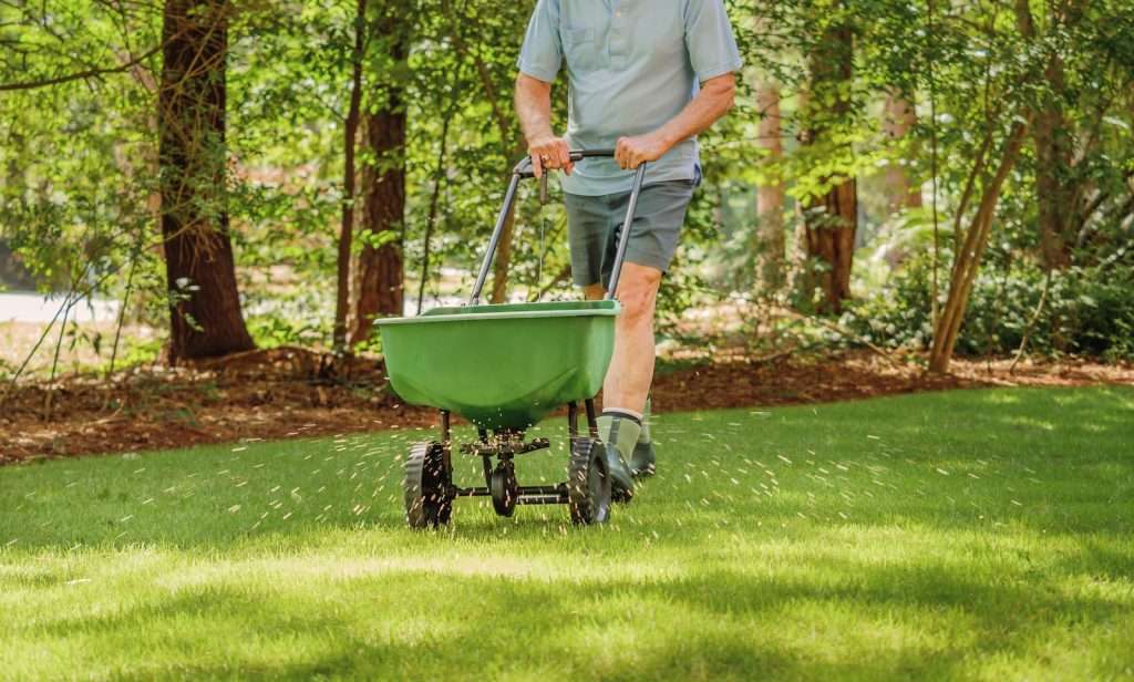 applying fertilizer to lawn during spring in North Texas