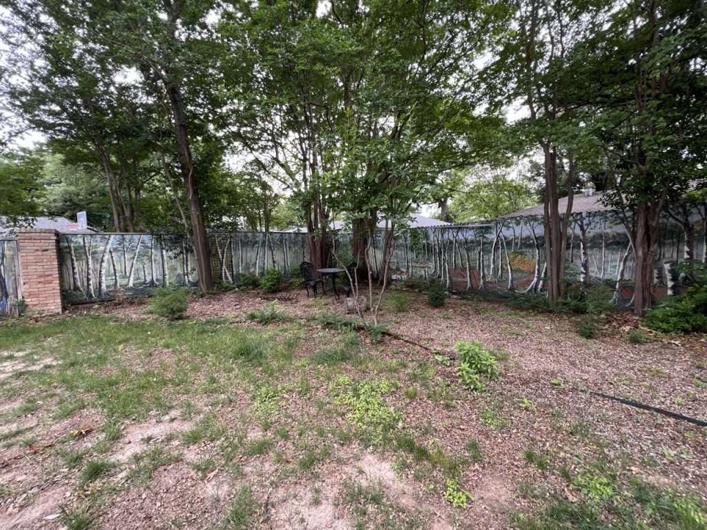 Underutilized shaded backyard area before landscape construction